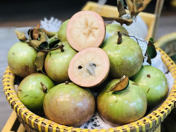 Khi trông thấy quả vú sữa có những ý nghĩa gì sâu xa?