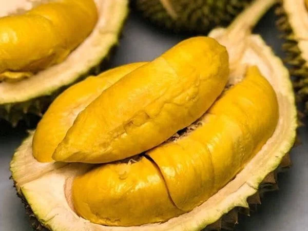 Giải mã mơ thấy quả sầu riêng có con số nào may mắn?