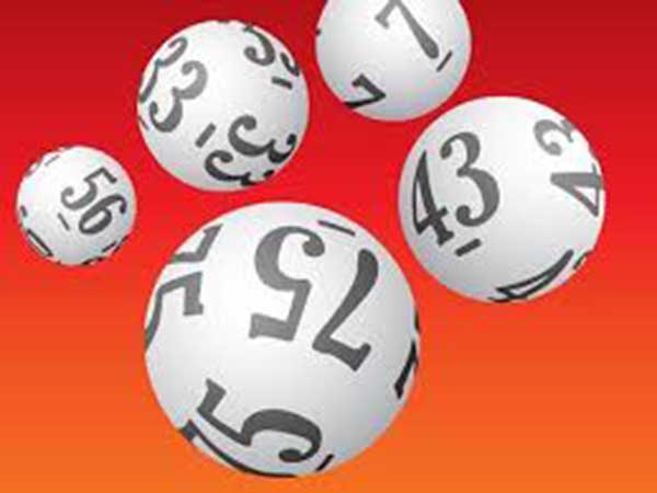 Các lưu ý quan trọng khi nuôi loto miền Trung