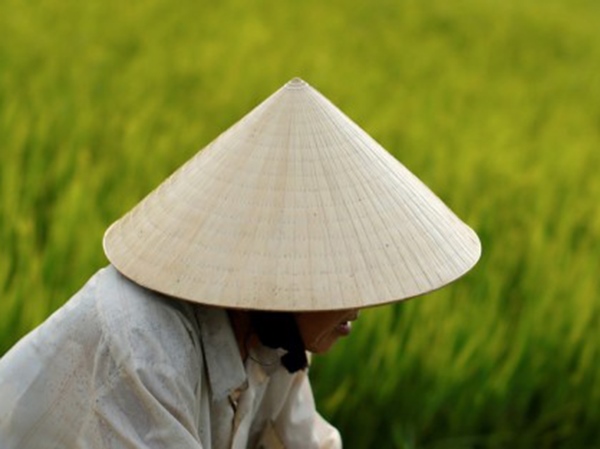 Lý giải sự thật đằng sau những giấc mơ thấy cái nón
