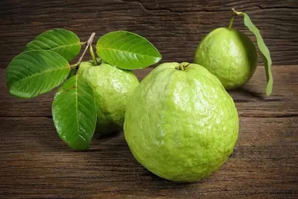 Mơ thấy quả ổi: Điềm báo về tình yêu và sự nghiệp
