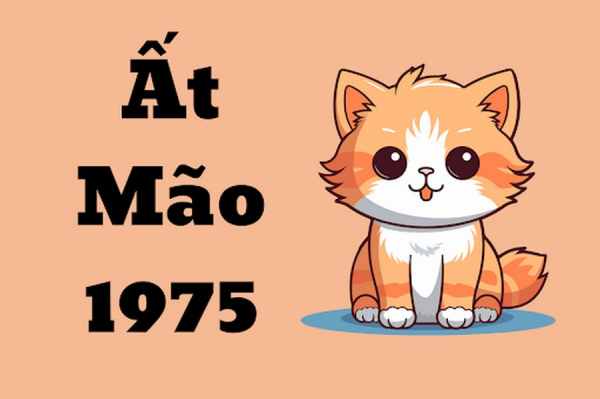 Tử vi tuổi Ất Mão 25/6/2025