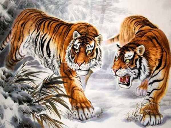 Phân tích con số may mắn tuổi Nhâm Dần ngày 26/7/2025