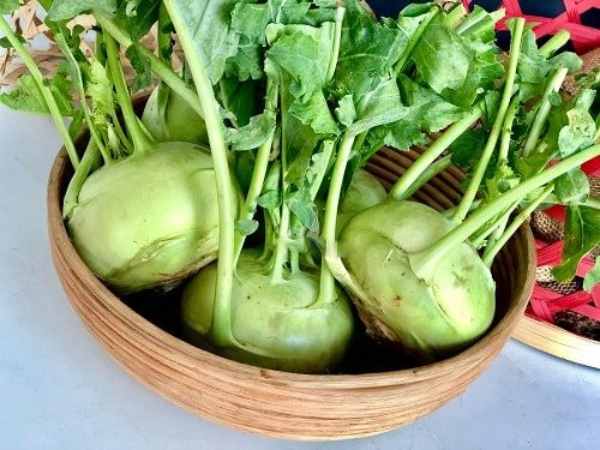 Mơ thấy mình đang nhổ củ su hào lên khỏi đất