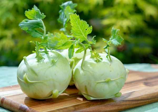 Mơ thấy củ su hào là lộc tiền hay vận hạn công việc?