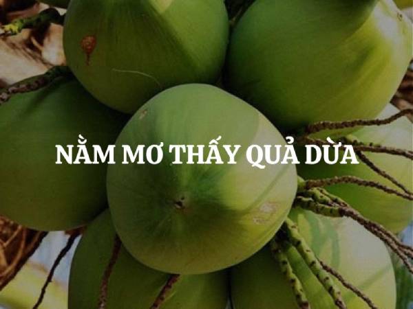 Mơ thấy quả dừa