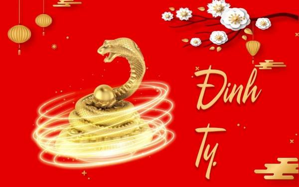 Bí ẩn đằng sau số may mắn tuổi Đinh Tỵ 29/8/2025 là gì?