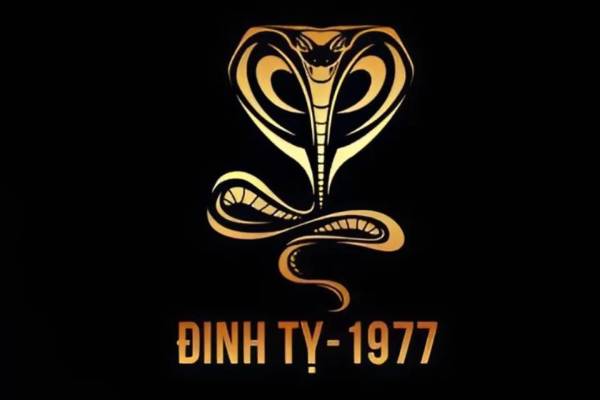 Vận trình tử vi tuổi Đinh Tỵ 29/8/2025 có gì đặc biệt?