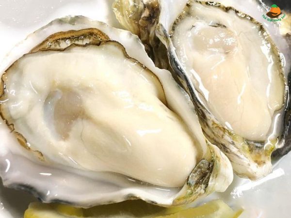 Nằm mơ thấy con hàu rất to, vượt ngoài tầm tay