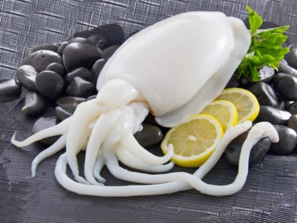 Nằm mơ thấy con mực: ý nghĩa, điềm báo và sự bí ẩn