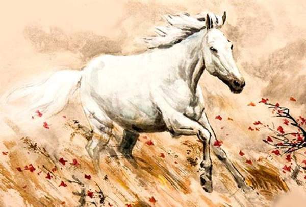 Tổng quan vận trình tuổi Mậu Ngọ ngày 25/12/2025