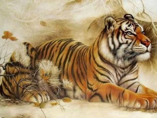 Tổng quan vận trình tuổi Dần ngày 11/4/2026 Tổng quan vận trình tuổi Dần ngày 11/4/2026