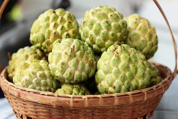 Nằm mơ thấy quả na chín có điềm gì may mắn hay xui xẻo Nằm mơ thấy quả na chín có điềm gì may mắn hay xui xẻo