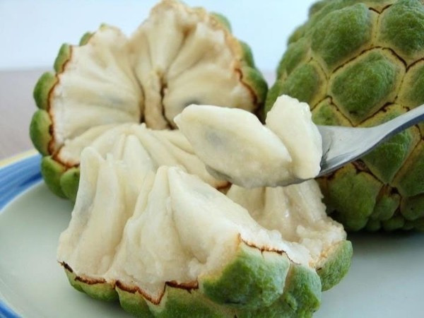 Nằm mơ thấy quả na chín có điềm gì may mắn hay xui xẻo Nằm mơ thấy quả na chín có điềm gì may mắn hay xui xẻo